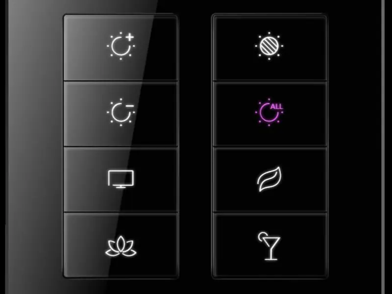 Black glass scene keypad with eight backlit icon buttons